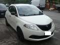 Lancia Ypsilon 1.0 firefly hybrid Weiß - thumbnail 2