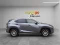 Lexus NX 300h Business Line Hybrid Aut. *MWST*LEASING*ACC*LEDER* Gris - thumbnail 6