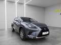 Lexus NX 300h Business Line Hybrid Aut. *MWST*LEASING*ACC*LEDER* Gris - thumbnail 7