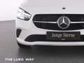 Mercedes-Benz B 200 Progressive+NavPrem+LED-HP+EHeck+SpurA+RFK Blanco - thumbnail 17