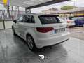 Audi A3 1.6 tdi Ambiente 110cv E6 Weiß - thumbnail 4