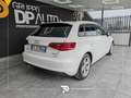 Audi A3 1.6 tdi Ambiente 110cv E6 Weiß - thumbnail 6