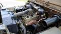 Jeep Willys MB Slat Grill 1941 Groen - thumbnail 20