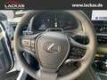 Lexus UX 250h 300h F-SPORT DESIGN*TOTW*FA CELIFT*GARANTIE* Weiß - thumbnail 10