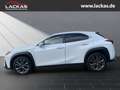 Lexus UX 250h 300h F-SPORT DESIGN*TOTW*FA CELIFT*GARANTIE* Weiß - thumbnail 2