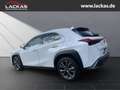 Lexus UX 250h 300h F-SPORT DESIGN*TOTW*FA CELIFT*GARANTIE* Weiß - thumbnail 3