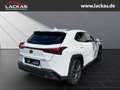 Lexus UX 250h 300h F-SPORT DESIGN*TOTW*FA CELIFT*GARANTIE* Weiß - thumbnail 5