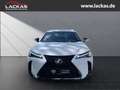 Lexus UX 250h 300h F-SPORT DESIGN*TOTW*FA CELIFT*GARANTIE* Weiß - thumbnail 8
