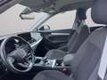 Audi Q5 35 TDI S tronic Business Nero - thumbnail 9