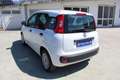 Fiat Panda 1.0 FireFly S&S Hybrid City Life Bianco - thumbnail 6