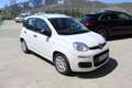 Fiat Panda 1.0 FireFly S&S Hybrid City Life Bianco - thumbnail 3