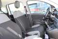 Fiat Panda 1.0 FireFly S&S Hybrid City Life Bianco - thumbnail 15