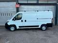 Citroen Jumper Kasten 30 L2H1 Profi BlueHDi 130 Weiß - thumbnail 9