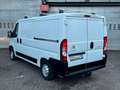 Citroen Jumper Kasten 30 L2H1 Profi BlueHDi 130 Weiß - thumbnail 4