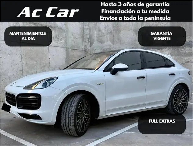 Porsche E-Hybrid Platinum Edition