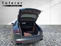 Porsche Panamera 4 E-Hybrid Approved, Pano, ACC Grau - thumbnail 6