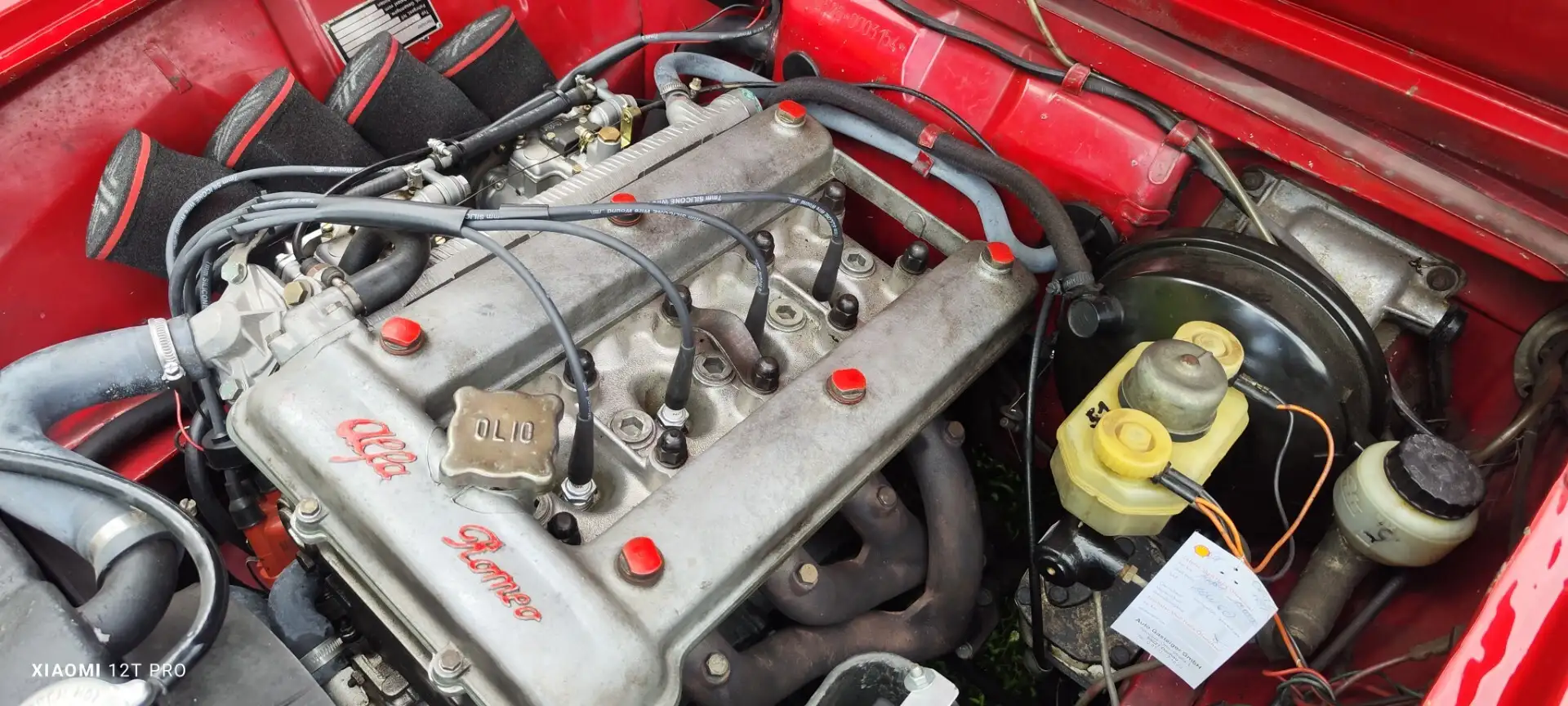 Alfa Romeo Giulia BERLINA 1600 Rouge - 2