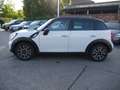 MINI Cooper Countryman/ Teilledersitze/Sport Bianco - thumbnail 6