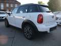 MINI Cooper Countryman/ Teilledersitze/Sport Bianco - thumbnail 10