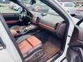 Porsche Cayenne S/Navi/Bi-Xenon/Vollleder/AHK/ Blanc - thumbnail 26