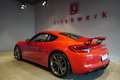 Porsche Cayman GT4 3.8*1.Hd*BRD-FZG*U-Frei*Vollschalen*PZ Scheckh Rot - thumbnail 3