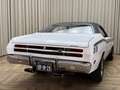 Plymouth Valiant Sport Coupe / Duster / 4-Speed Manual / 318Cu 5,2L Weiß - thumbnail 24