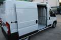Fiat Ducato Serie 2 35 2.2 Mjt 140cv L2H2 (PM-TM) Furgone Blanc - thumbnail 8