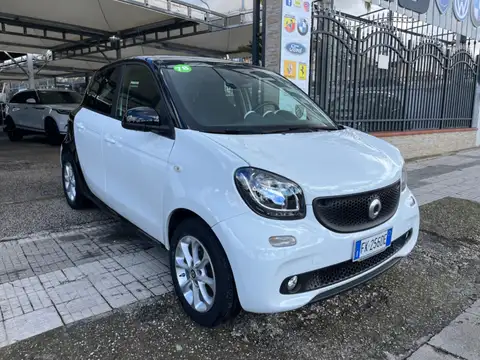 Usata SMART forfour 70 1.0 Youngster Benzina