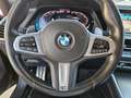 BMW X6 xDrive 30dA Verde - thumbnail 39