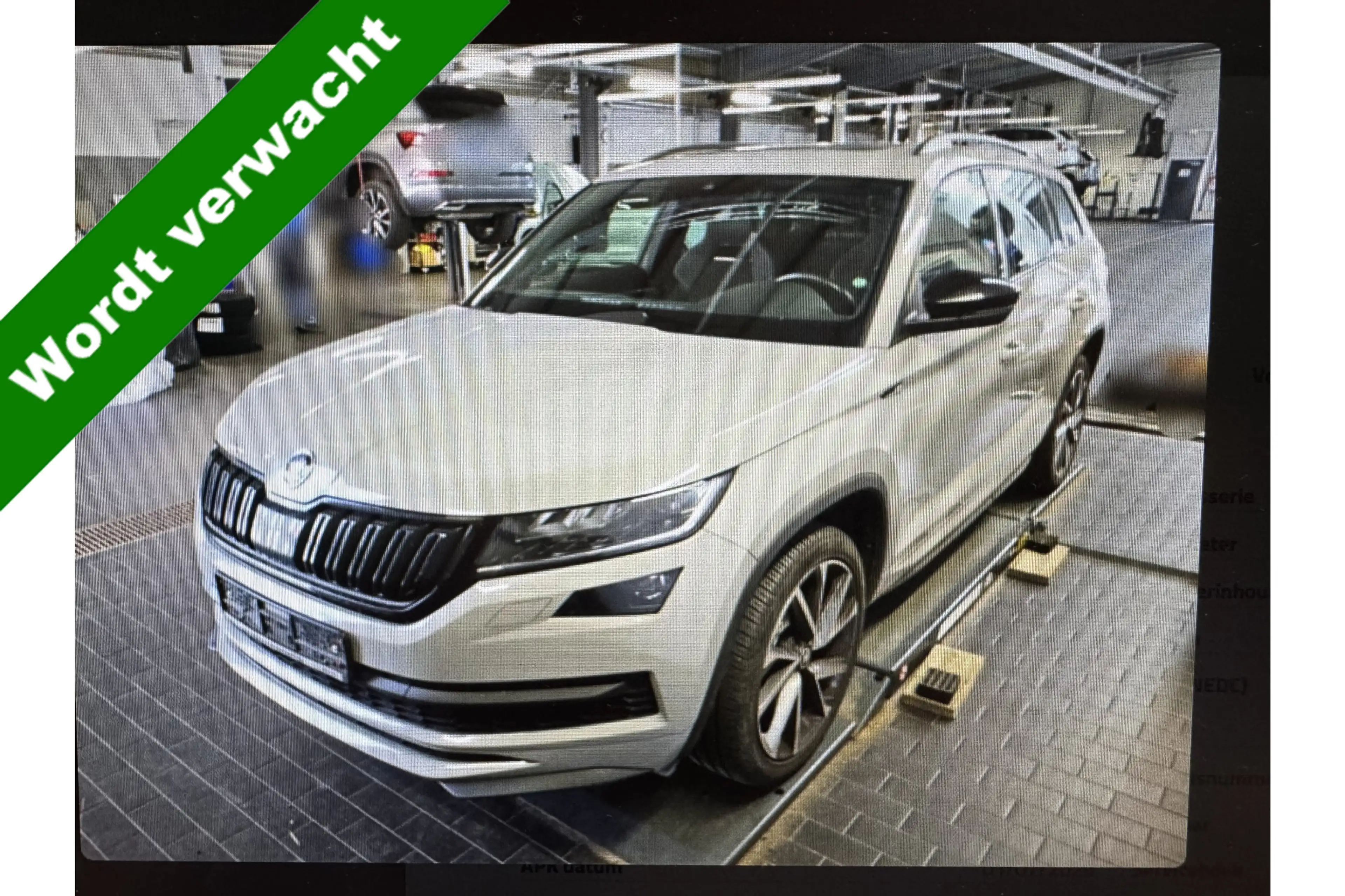 Skoda Kodiaq 2.0 TSI 190pk 4x4 Sportline Business | Pano | Keyl