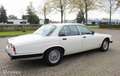 Jaguar Sovereign 4.2 Sovereign Weiß - thumbnail 17