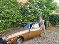Volvo P1800 ES Sportbreak Bronzo - thumbnail 12
