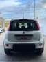 Fiat Panda Panda 1.0 firefly hybrid City Cross s&s Bianco - thumbnail 4