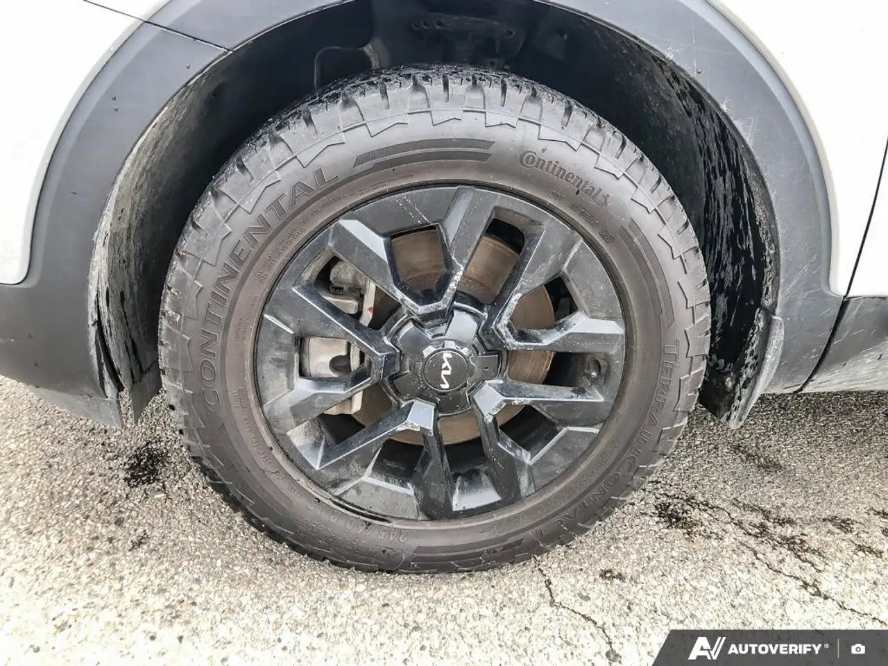 Kia Telluride снимка Kia Telluride