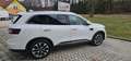 Renault Koleos dCi 175 4WD Intens X-Tronic Aut. Weiß - thumbnail 5