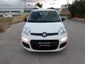 Fiat Panda 1.0 FIREFLY HYBRID S&S 5 P.TI Bianco - thumbnail 2