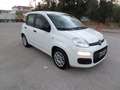 Fiat Panda 1.0 FIREFLY HYBRID S&S 5 P.TI Blanc - thumbnail 3