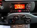 Fiat Panda 1.0 FIREFLY HYBRID S&S 5 P.TI Bianco - thumbnail 13