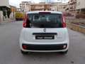 Fiat Panda 1.0 FIREFLY HYBRID S&S 5 P.TI Bianco - thumbnail 7