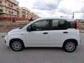 Fiat Panda 1.0 FIREFLY HYBRID S&S 5 P.TI Bianco - thumbnail 4
