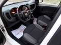 Fiat Panda 1.0 FIREFLY HYBRID S&S 5 P.TI Bianco - thumbnail 9