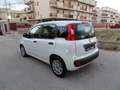 Fiat Panda 1.0 FIREFLY HYBRID S&S 5 P.TI Bianco - thumbnail 6