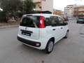 Fiat Panda 1.0 FIREFLY HYBRID S&S 5 P.TI Bianco - thumbnail 8