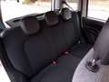 Fiat Panda 1.0 FIREFLY HYBRID S&S 5 P.TI Blanc - thumbnail 10