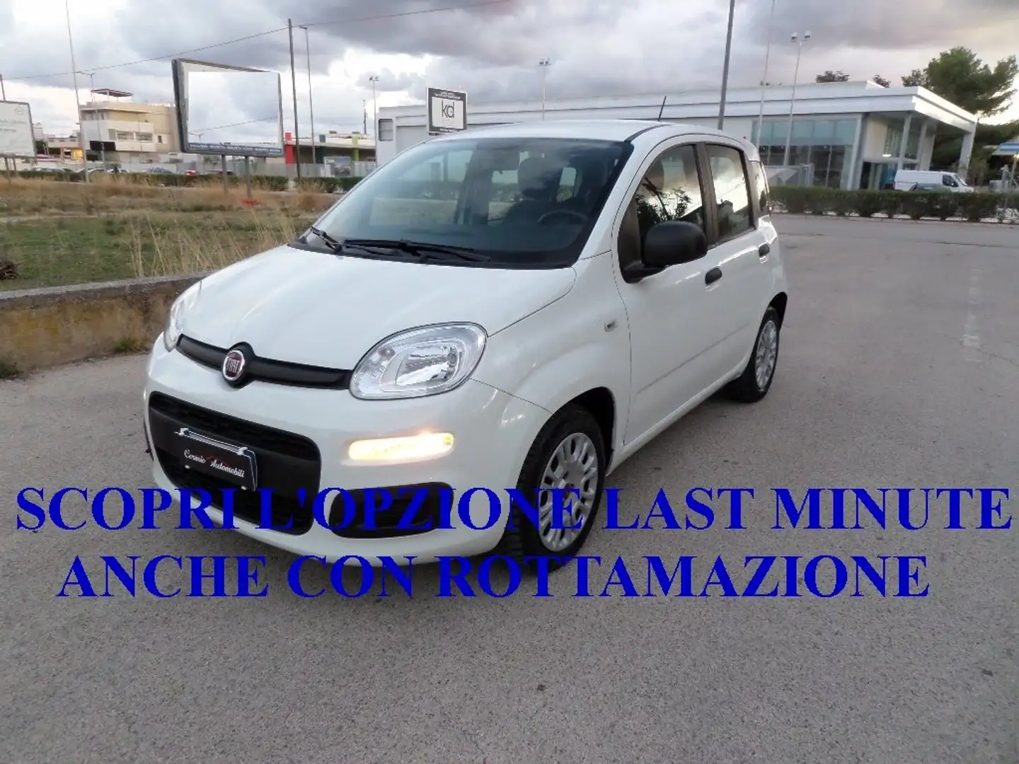 Fiat Panda 1.0 FIREFLY HYBRID S&S 5 P.TI Blanc - 1