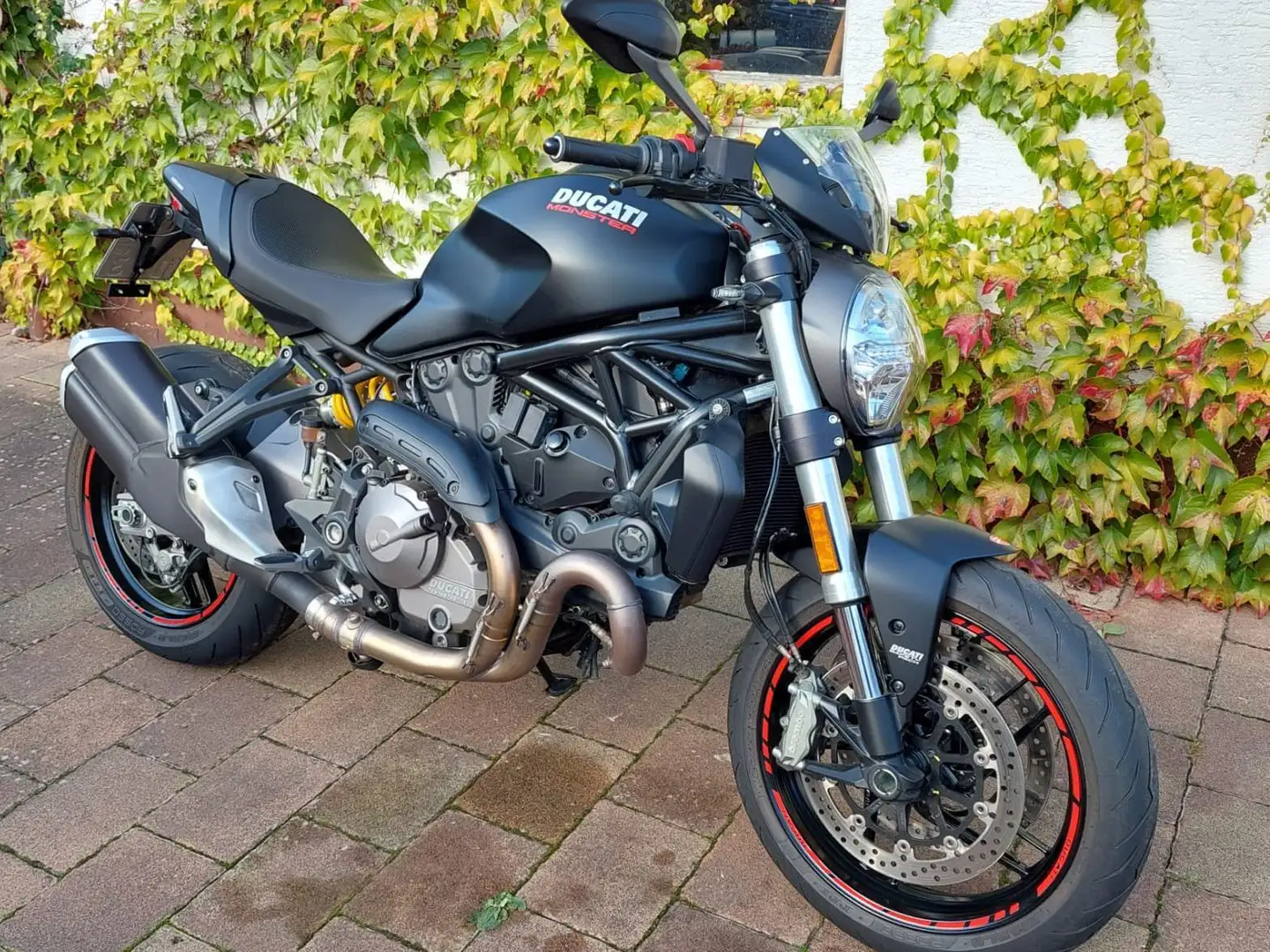 Ducati Monster 821 Schwarz - 2