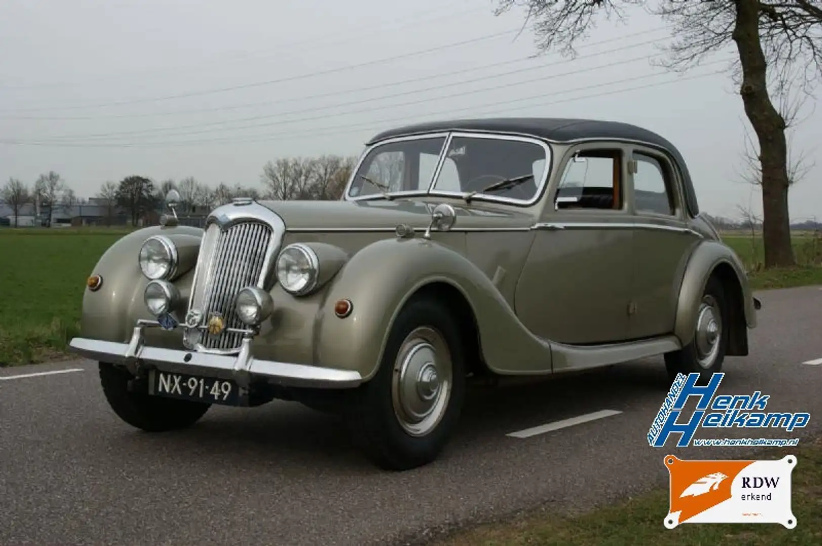 Oldtimer Riley RMF 2.5 *Org.Chesterfield leer Grau - 2