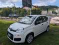 Fiat Panda Panda 1.2 Easy UNICO PROPRIETARIO Blanco - thumbnail 3