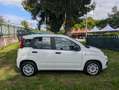 Fiat Panda Panda 1.2 Easy UNICO PROPRIETARIO Blanco - thumbnail 8