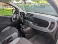 Fiat Panda Panda 1.2 Easy UNICO PROPRIETARIO Blanco - thumbnail 12